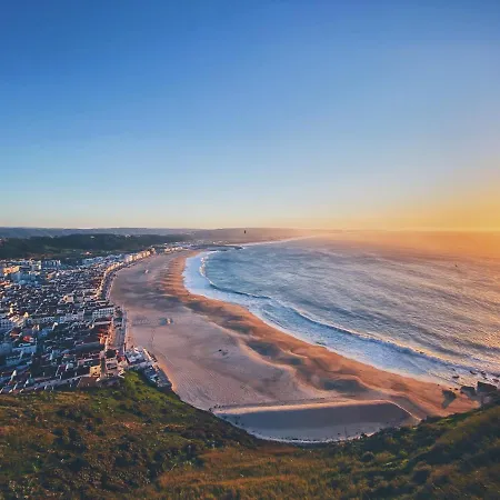 Feel - Abegoarias 62 *